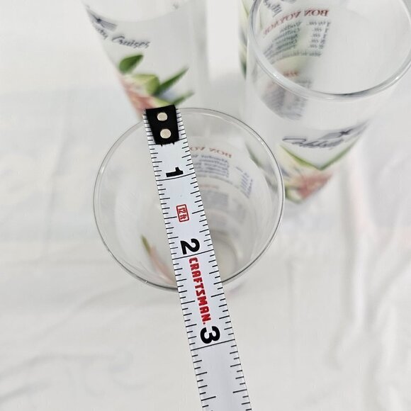 Celebrity Cruises Orchids Frosted High Ball Glasses Drink Recipe – Set of 4 - Picture 15 of 16